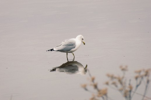 Processed with VSCOcam with g3 preset